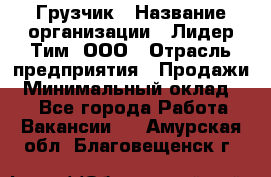 Грузчик › Название организации ­ Лидер Тим, ООО › Отрасль предприятия ­ Продажи › Минимальный оклад ­ 1 - Все города Работа » Вакансии   . Амурская обл.,Благовещенск г.